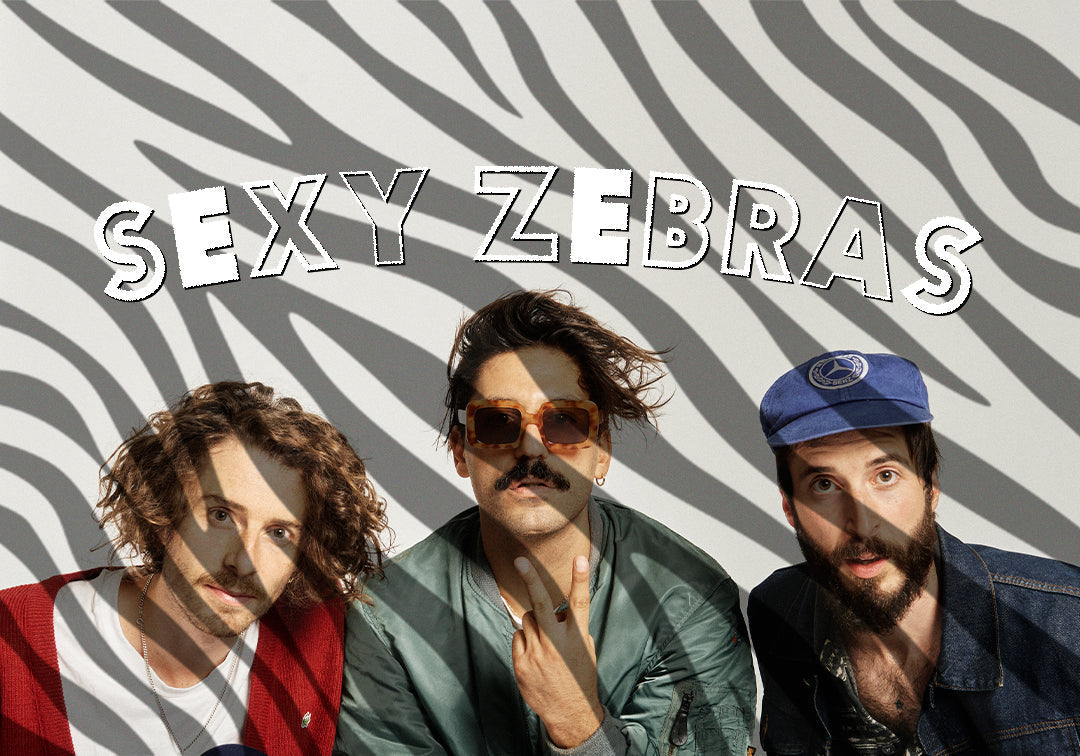 Limited Edition Socks: SEXY ZEBRAS🦓